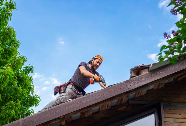 Best Green or Eco-Friendly Roofing Solutions  in , IL