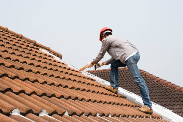 Best Cold Roofs  in , IL